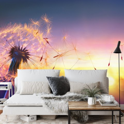 Fototapeta Optyczna Dmuchawiec