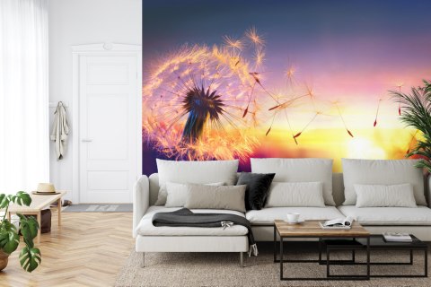 Fototapeta Optyczna Dmuchawiec