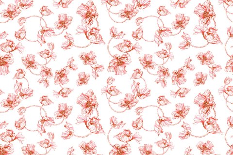 Fototapeta Maki Akwarela