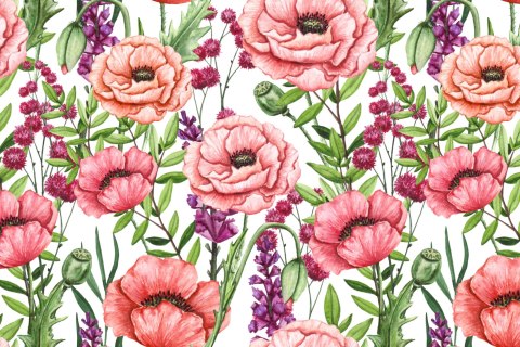 Fototapeta Maki Akwarela