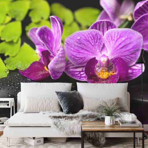 Fototapeta Orchidea Spa