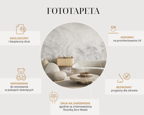 Fototapeta Wodospad Skógafoss