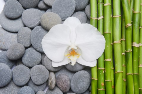 Fototapeta Bambusy Z Kamieniami I Orchideą