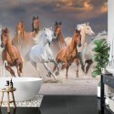 Fototapeta Stado Galopujących Koni