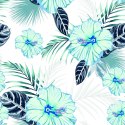 Tapeta Kwiaty Hibiskusa I Liście