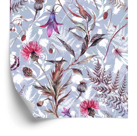 Tapeta Kwiaty Polne Akwarela