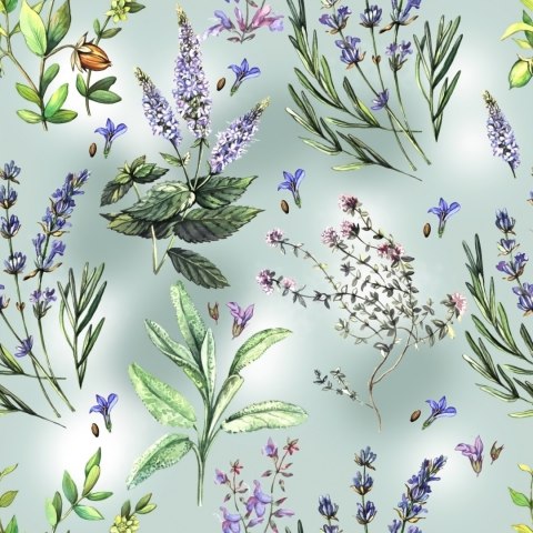 Tapeta Natura Kwiatów Lawendy