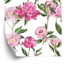 Tapeta Naturalne Piwonie