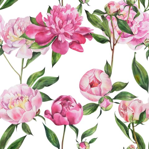 Tapeta Naturalne Piwonie
