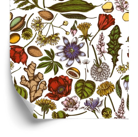 Tapeta Rośliny Polne Z Ziołami I Przyprawami