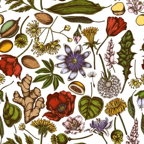 Tapeta Rośliny Polne Z Ziołami I Przyprawami