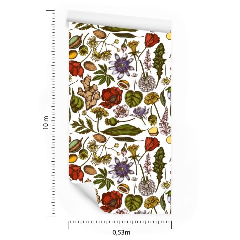 Tapeta Rośliny Polne Z Ziołami I Przyprawami