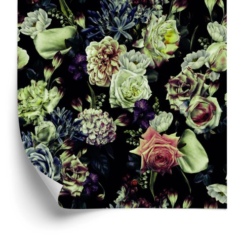 Tapeta Róże W Ciemnych Barwach