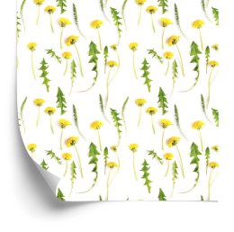 Tapeta Kwiaty Mlecza Z Liśćmi