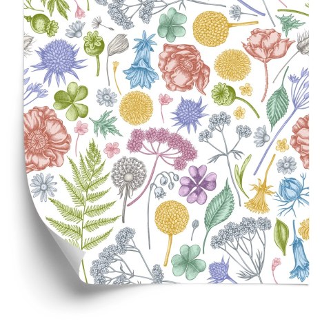 Tapeta Kwiaty Polne Z Paprocią