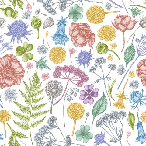 Tapeta Kwiaty Polne Z Paprocią