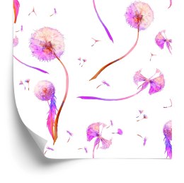 Tapeta Letnie Dmuchawce