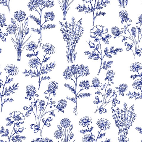 Tapeta Niebieskie Kwiaty Polne