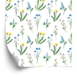 Tapeta Stokrotka Z Polnymi Kwiatami