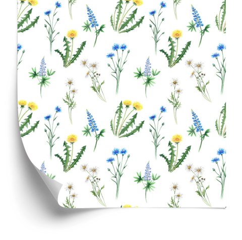 Tapeta Stokrotka Z Polnymi Kwiatami