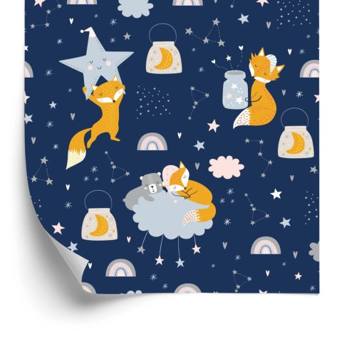 Tapeta Lisy I Misie W Kosmosie