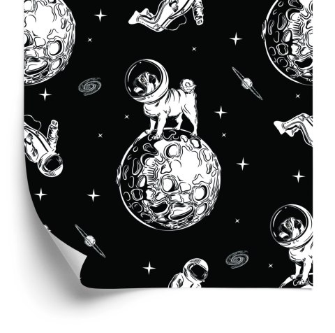 Tapeta Psy W Kosmosie