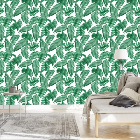 Tapeta Liście Bananowca