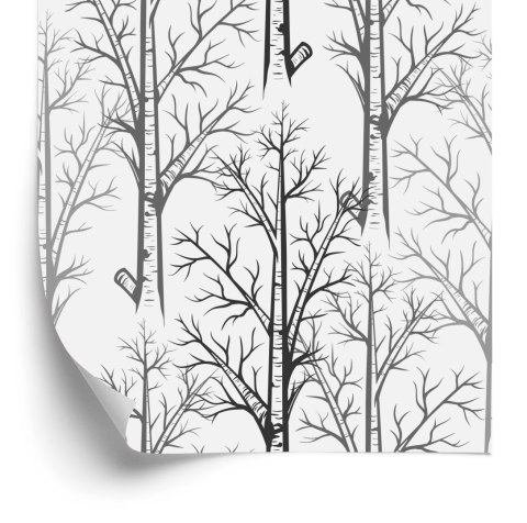 Tapeta Delikatne Drzewa W Odcieniach Szarości