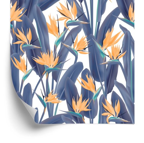 Tapeta Kwiaty Rajskie Ptaki