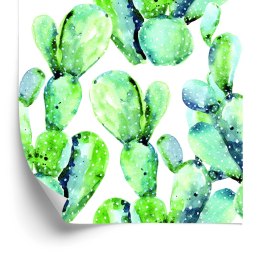 Tapeta Kwiaty Rośliny Kaktusy