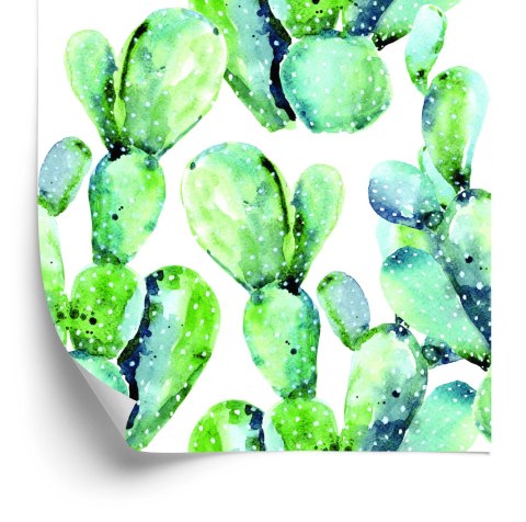 Tapeta Kwiaty Rośliny Kaktusy