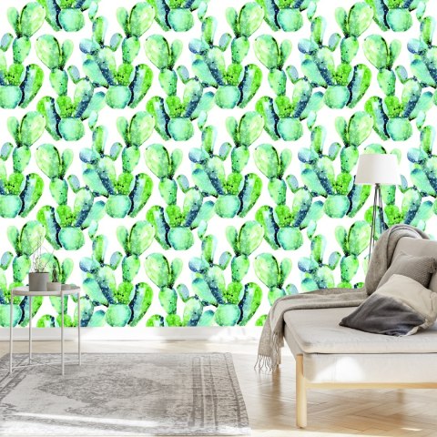 Tapeta Kwiaty Rośliny Kaktusy