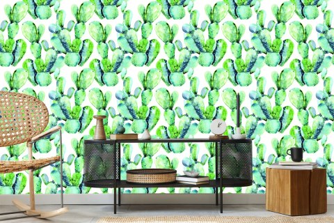 Tapeta Kwiaty Rośliny Kaktusy