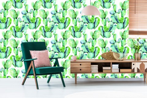 Tapeta Kwiaty Rośliny Kaktusy