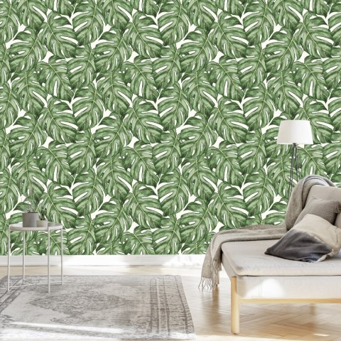 Tapeta Liście Monstera