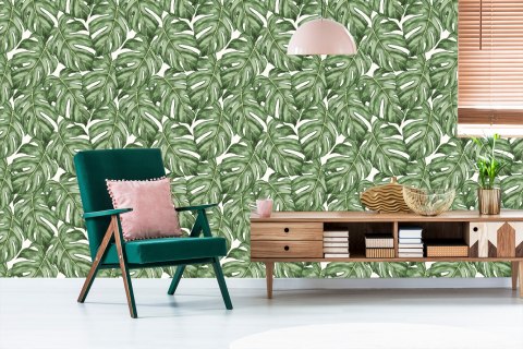 Tapeta Liście Monstera