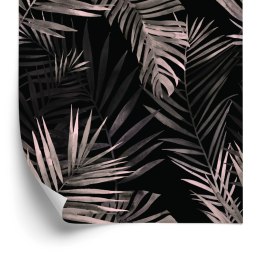 Tapeta Liście Palmy
