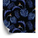 Tapeta Liście Palmy