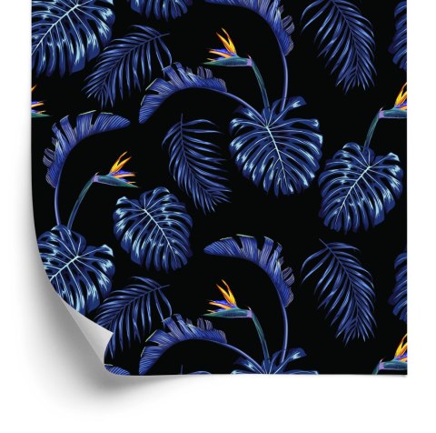 Tapeta Liście Palmy