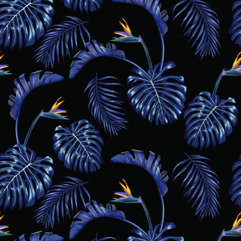 Tapeta Liście Palmy