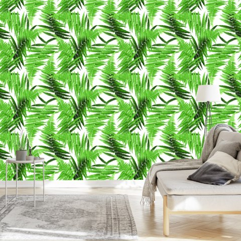 Tapeta Liście Paproci