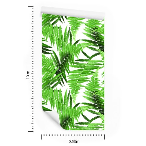 Tapeta Liście Paproci