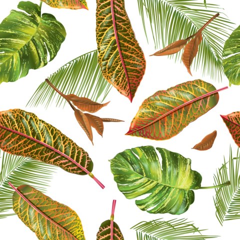 Tapeta Tropikalne Liście Palmy