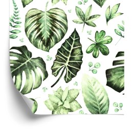 Tapeta Tropikalne Liście Zieleń