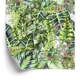 Tapeta Tropikalne Rośliny Przyroda