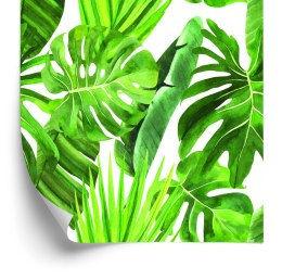 Tapeta Zielone Liście Monstery