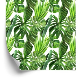 Tapeta Zielone Liście Palmy