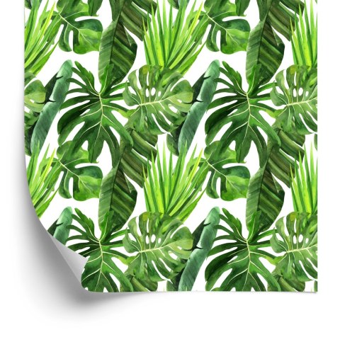Tapeta Zielone Liście Palmy