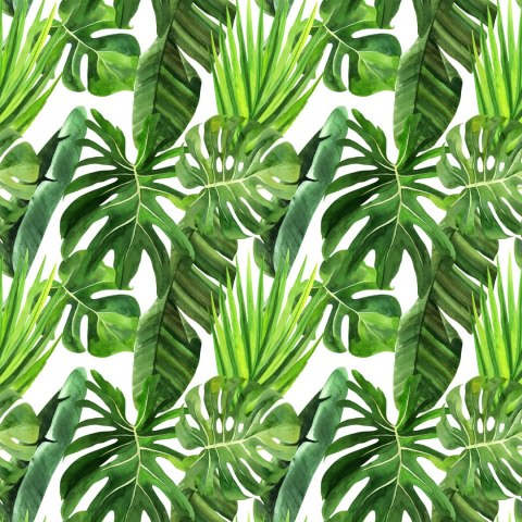 Tapeta Zielone Liście Palmy