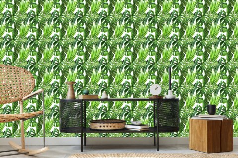 Tapeta Zielone Liście Palmy